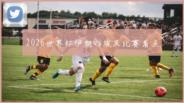 2026世界杯伊朗vs埃及比赛看点