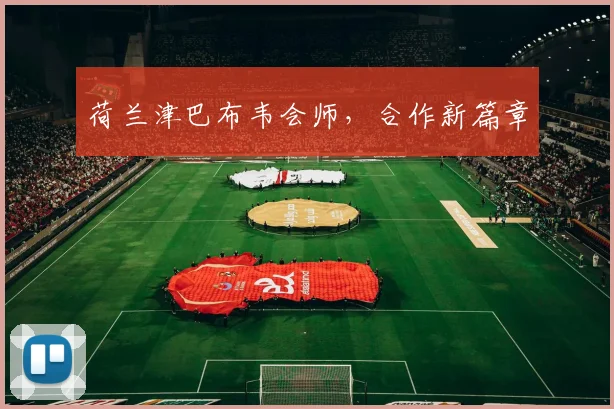 荷兰津巴布韦会师,合作新篇章