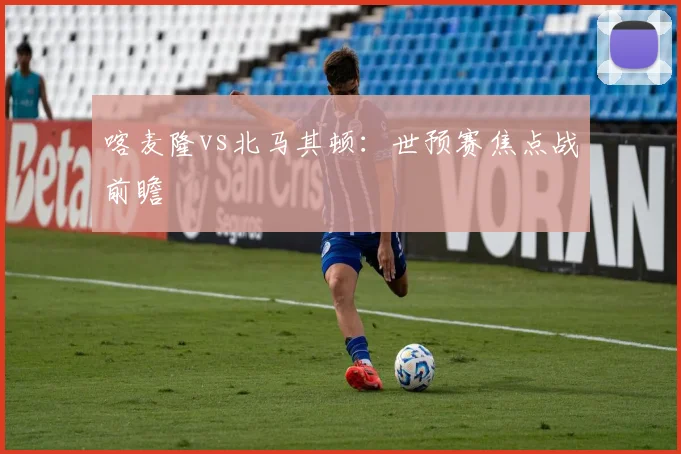 喀麦隆vs北马其顿：世预赛焦点战前瞻
