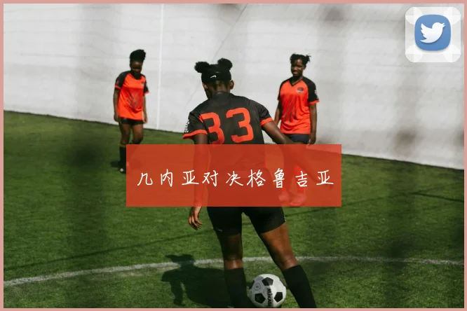 几内亚对决格鲁吉亚
