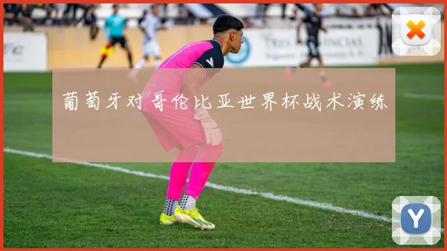 葡萄牙对哥伦比亚世界杯战术演练