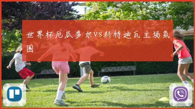 世界杯厄瓜多尔vs科特迪瓦主场氛围
