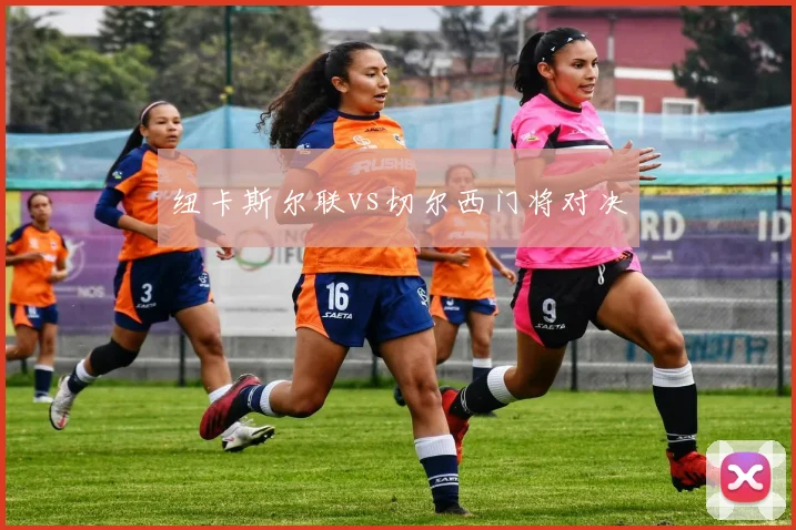 纽卡斯尔联vs切尔西门将对决