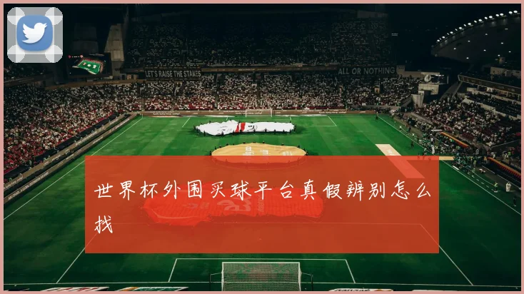 世界杯外围买球平台真假辨别怎么找