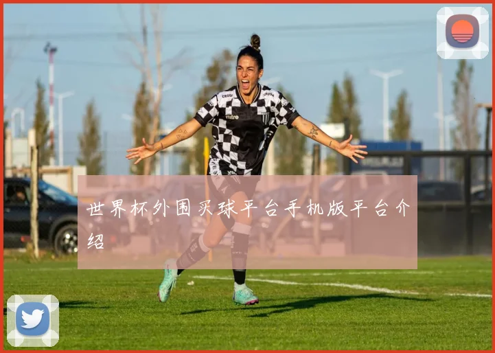 世界杯外围买球平台手机版平台介绍