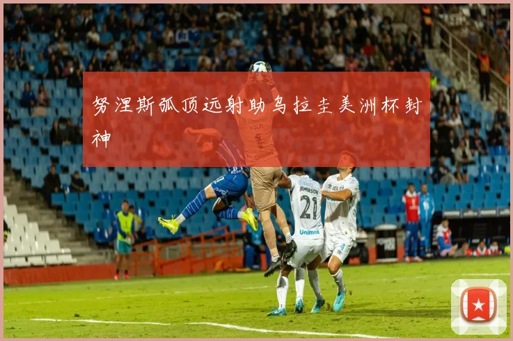 努涅斯弧顶远射助乌拉圭美洲杯封神