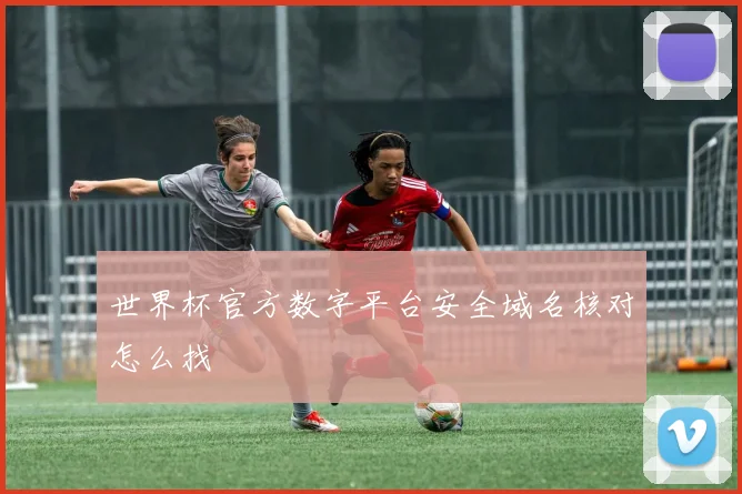 世界杯官方数字平台安全域名核对怎么找