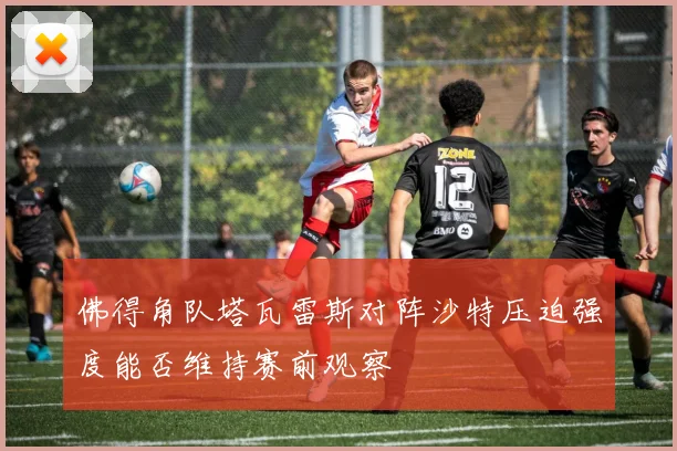佛得角队塔瓦雷斯对阵沙特压迫强度能否维持赛前观察